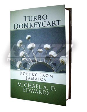 Turbo Donkey Cart - Book Review