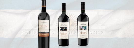 a-taste-of-argentinian-wines