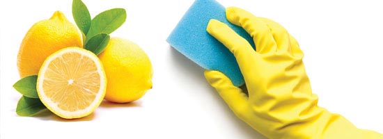 How to clean your home naturally New Year, New Clean: How to clean your home naturally