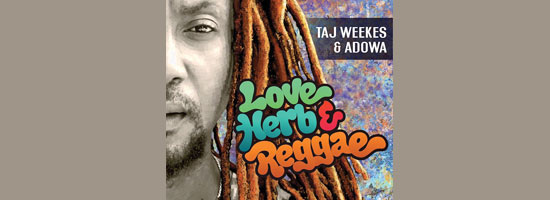love-herb-reggae-album-cover