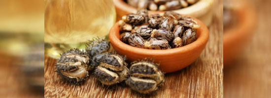 Castor Oil: What are the Benefits? Castor Oil: What are the Benefits?