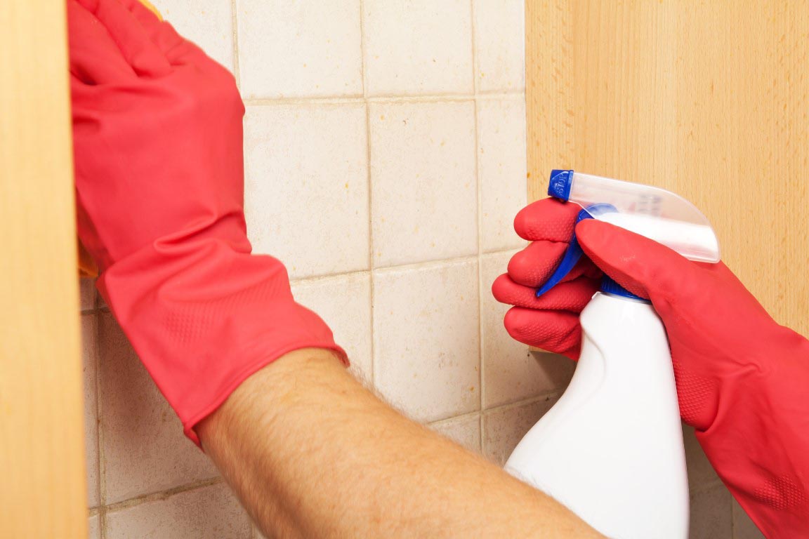Is Your Home REALLY Germ Free? Is Your Home REALLY Germ Free?