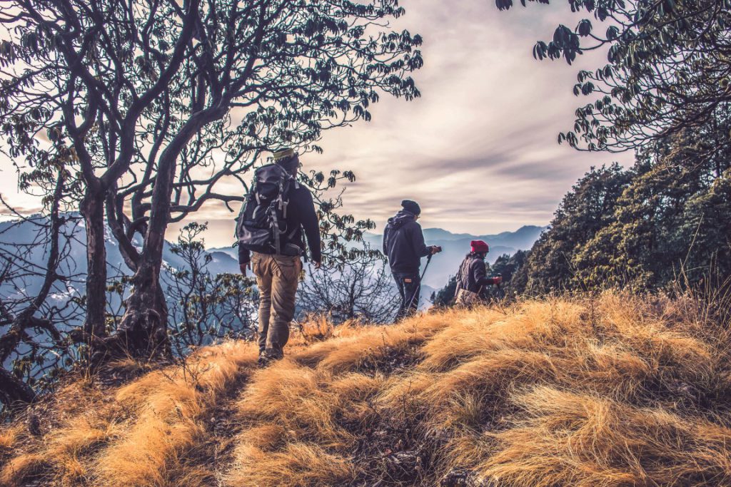 Hiking: A Cardiovascular Workout