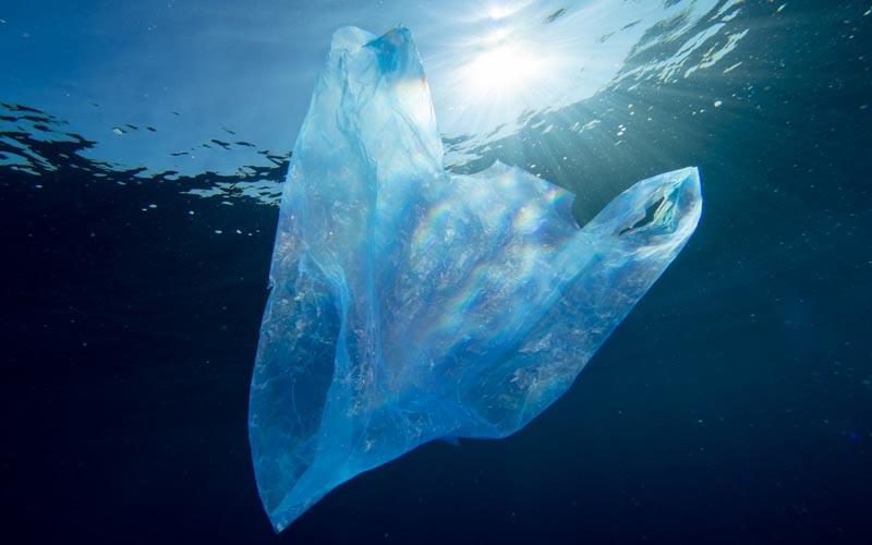 4 Reasons why should we stop using plastic bags?