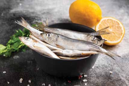 Sardines have a lot of antioxidants