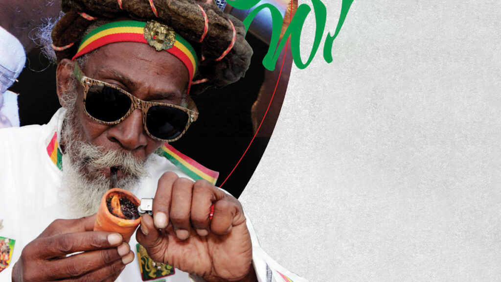 Alysia Moulton White Bunny Wailer Shall Not Die ...But Live! Jaaahh!
