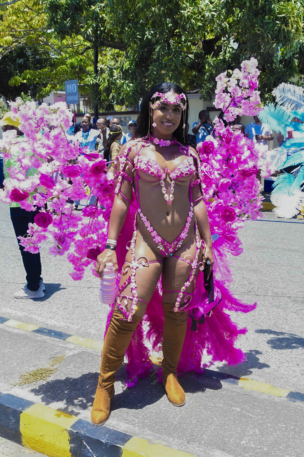 Behind Jamaica's Carnival Industry—A Mutually Beneficial Opportunity